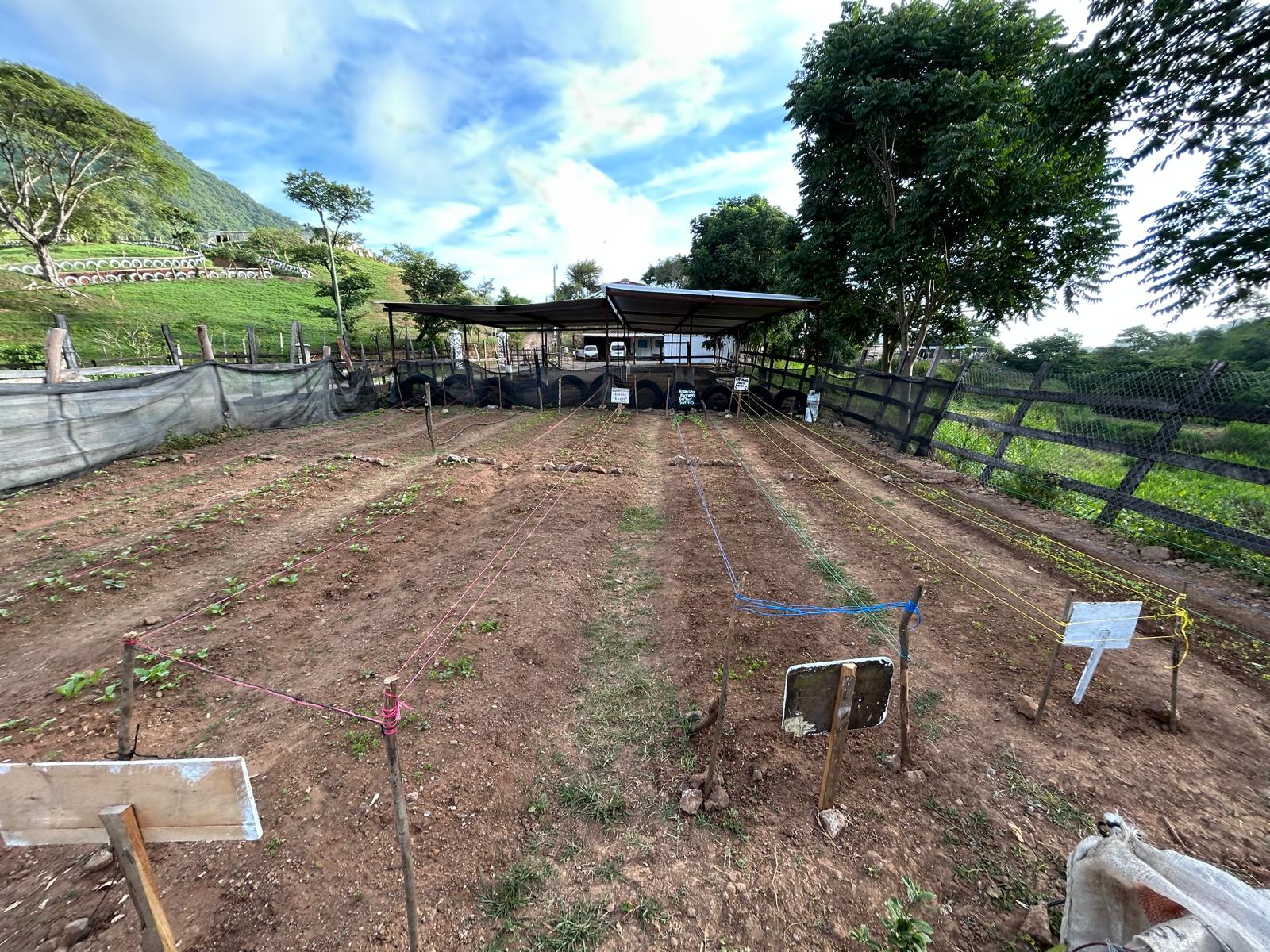Sustainable farming